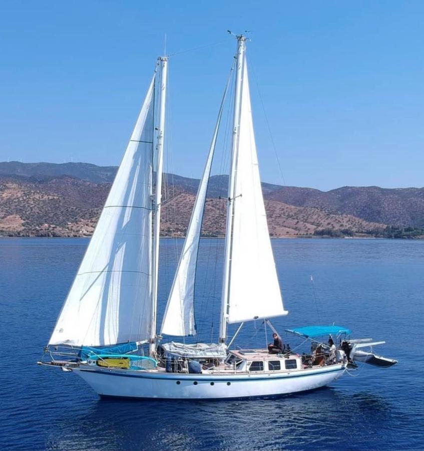 Fantastico Velero En Barcelona Ξενοδοχείο Sant Adria de Besos Εξωτερικό φωτογραφία